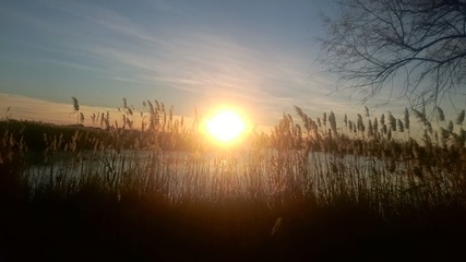 Naklejka premium Coucher de soleil en camargue