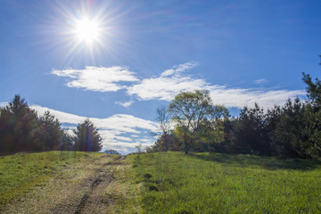 A farm lane on a bright spring morning with a starburst sun, blue sky, white clouds, green grass,...