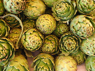 artichoke