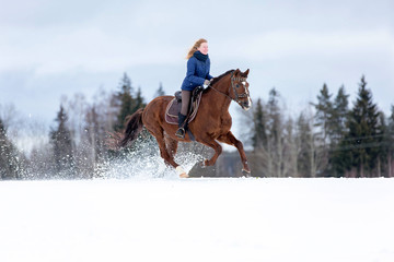 Pretty young lady riding a horse.