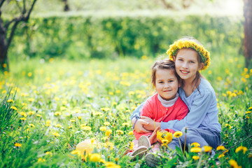 two beautiful little girls on a green meadow and make wreaths of dandelions. Two sisters playing with flowers in a meadow