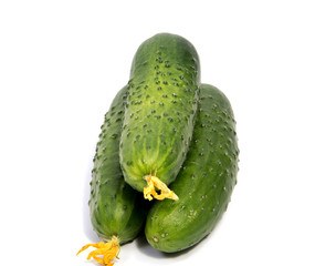 Cucumbers on a white background. In this photo we see a fresh cucumber on a white background.