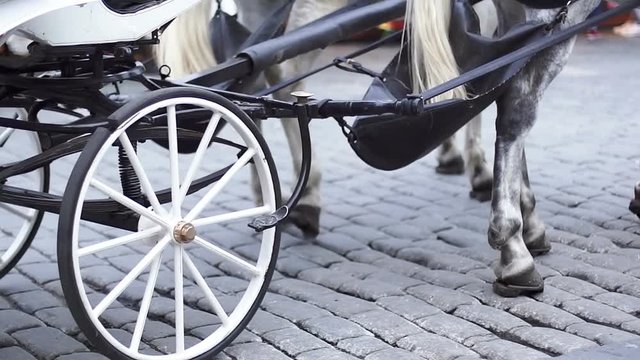 White carriage and wheels with wooden rim close up, Europe Ptague, hd 1080p