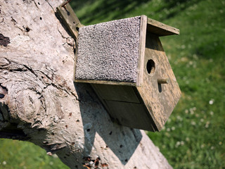 birdhouse on tree