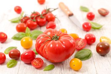 assorted colorful tomatoes