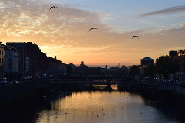 Abenstimmung Dublin