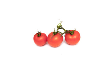 Tomatoes on white background
