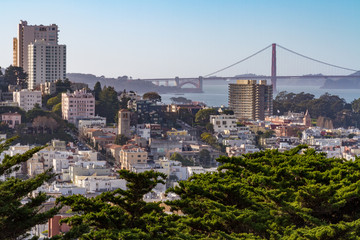 Golden Gate Bridge seen from the hills of San Francisco