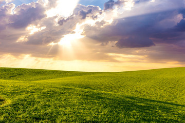 Green grass hills meadows landscape with cloudy sky and sun rays at sunset. Outdoor nature...