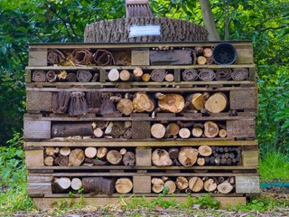 Bug Hotel
