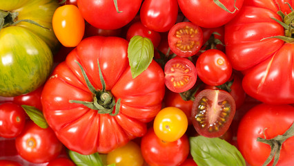 assorted colorful tomatoes