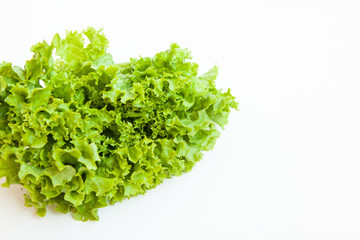 Fototapeta na wymiar Green kinky salad isolated on white background. Daylight, open space for your text.
