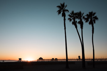 Silhouette of palm trees in Huntington Beach