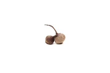 Beet on white background
