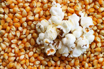 Popcorn kernels an cooked, background
