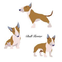 Vector Illustration of bull terrier in various posture.