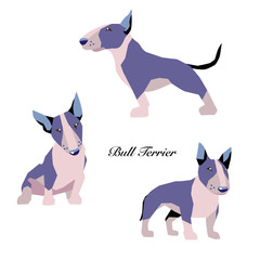 Vector Illustration of bull terrier in various posture.