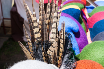 Pheasant feathers or plumes for sale