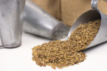 Freekeh in grain scoop in white background close