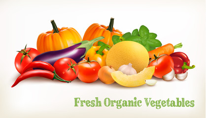 Big set of colorful vector vegetables. Vector illustration.