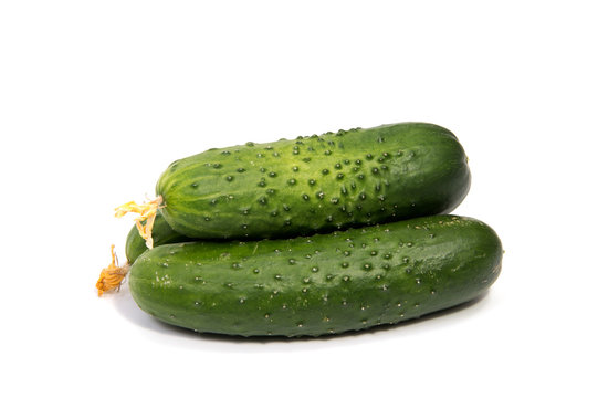 Cucumbers on a white background. In this photo we see a fresh cucumber on a white background.