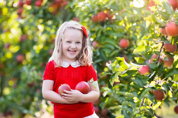 Little girl picking apple in fruit garden