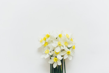 Daffodils lie on a white background