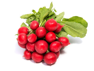 Small garden radish isolated on white background cutout