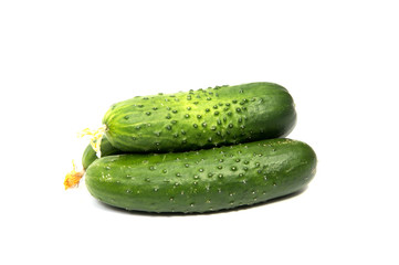 Cucumbers on a white background. In this photo we see a fresh cucumber on a white background.