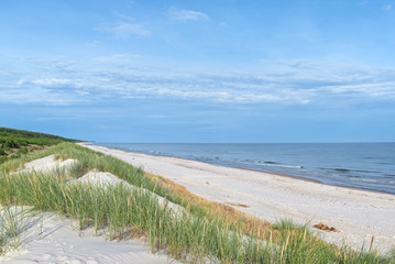 Sea shore with wild grass and shore plants. Baltic sea coast.