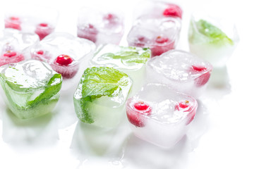 mint and red berries in ice cubes white background