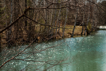 Vertical shooting The ice melts at the water's edge.