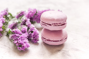 Obraz na płótnie Canvas spring design in pastel color with macaroons and purple flowers