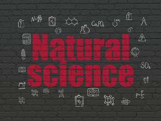 Science concept: Natural Science on wall background