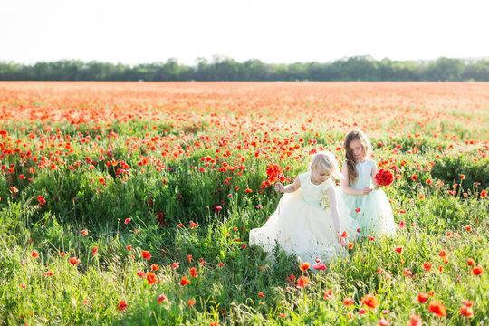 little girl, childhood, fashion, summer concept - two little elegant girlfriends in white and blue outfits collect poppy flowers on a huge field, in the hands of each a bouquet of red spring flowers