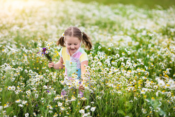 Little girl picking flowers in daisy field