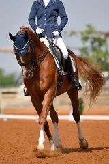 Foto op Canvas Dressage rider on a bay horse © PROMA