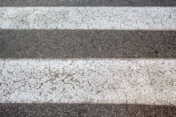 Zebra crossing on the street of Rome