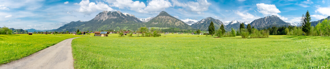 Fototapeta na wymiar green landscape in the near of the alps - region oberstdorf, panorama