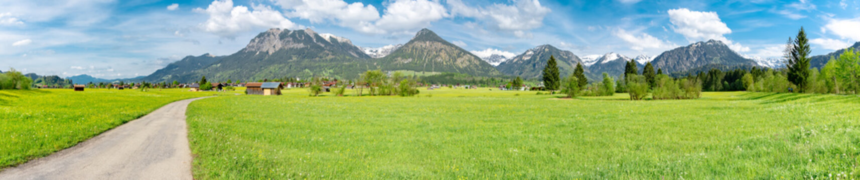 green landscape in the near of the alps - region oberstdorf, panorama