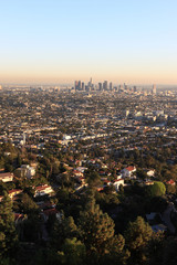 Los Angeles scene