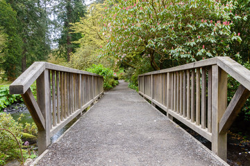 View through a wooden bridge