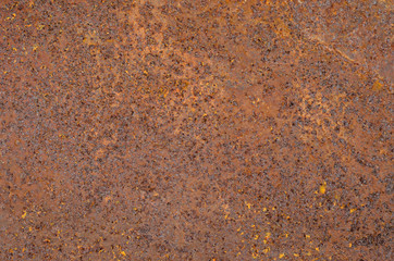 Old rustic metal sheet