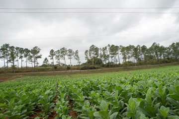 Reise, Havanna, Cuba
