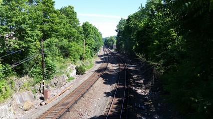 Train Tracks with Trees