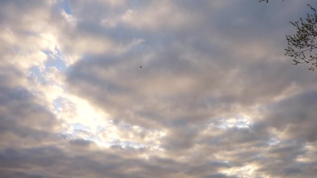 samolot na tle chmur