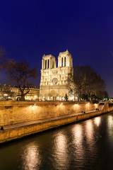 Fototapeta na wymiar Cathedral of Notre dame de Paris