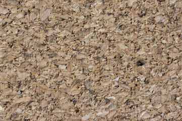 Cork board texture