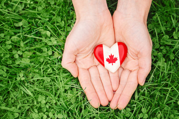 Macro closeup shot of hands palms holding round badge with red white canadian flag maple leaf, on green grass forest nature background outside, Canada Day celebration