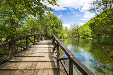 Obraz premium Beautiful wooden bridge over the lake.